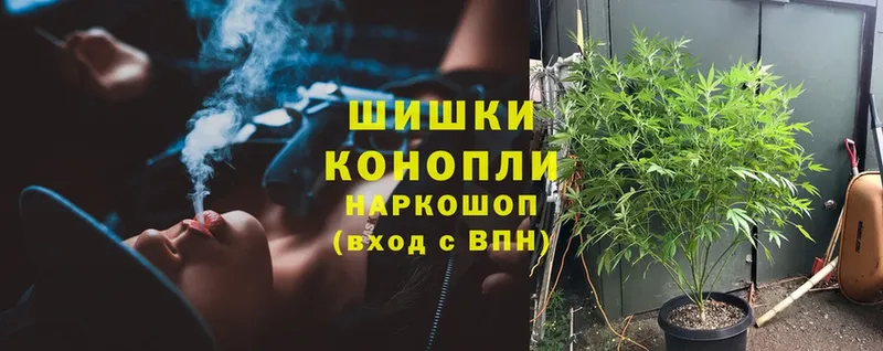 купить   Нефтегорск  Бошки марихуана Amnesia 